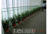 公司綠植租擺